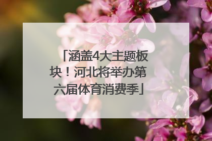 涵盖4大主题板块！河北将举办第六届体育消费季