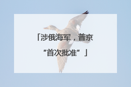 涉俄海军，普京“首次批准”