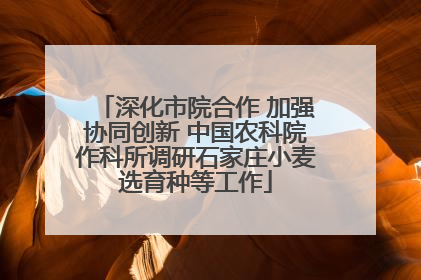 深化市院合作 加强协同创新 中国农科院作科所调研石家庄小麦选育种等工作