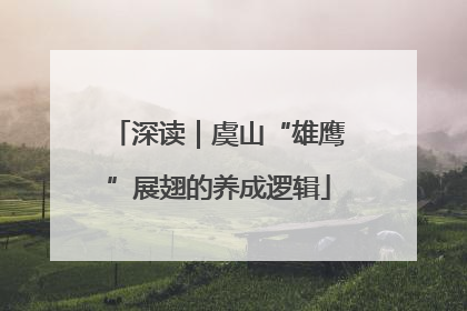 深读｜虞山“雄鹰”展翅的养成逻辑