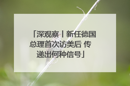 深观察丨新任德国总理首次访美后 传递出何种信号