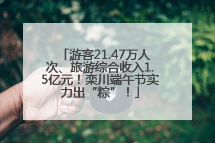 游客21.47万人次、旅游综合收入1.5亿元！栾川端午节实力出“粽”！