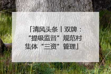 清风头条丨双牌：“提级监督”规范村集体“三资”管理