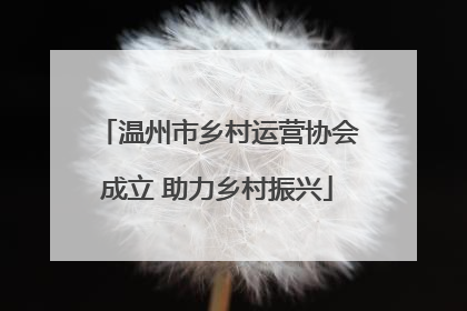 温州市乡村运营协会成立 助力乡村振兴
