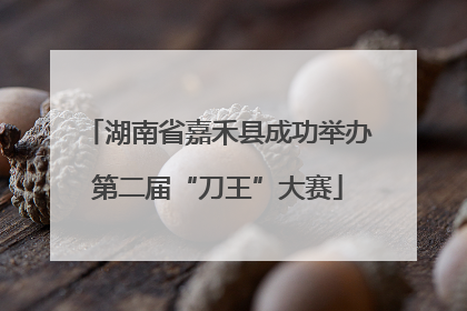 湖南省嘉禾县成功举办第二届“刀王”大赛