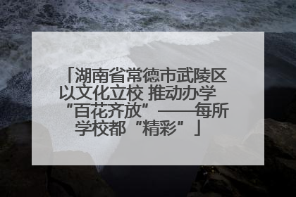 湖南省常德市武陵区以文化立校 推动办学“百花齐放”——每所学校都“精彩”