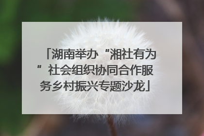 湖南举办“湘社有为”社会组织协同合作服务乡村振兴专题沙龙