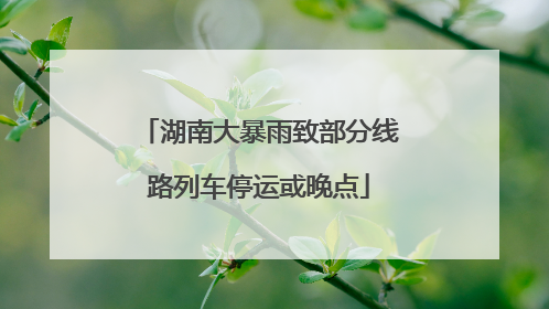 湖南大暴雨致部分线路列车停运或晚点