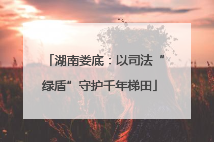 湖南娄底：以司法“绿盾”守护千年梯田