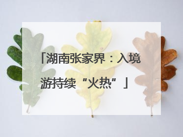 湖南张家界：入境游持续“火热”