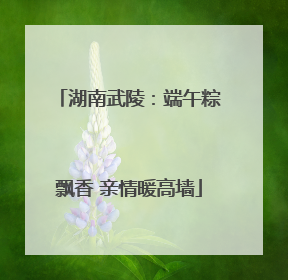 湖南武陵：端午粽飘香 亲情暖高墙