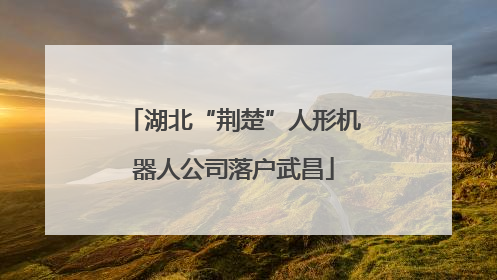 湖北“荆楚”人形机器人公司落户武昌