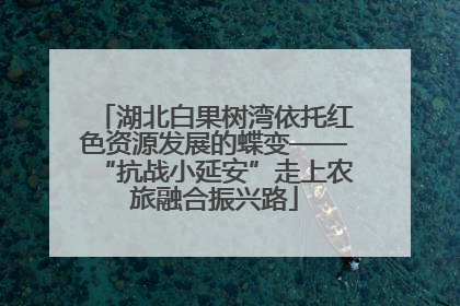湖北白果树湾依托红色资源发展的蝶变——“抗战小延安”走上农旅融合振兴路