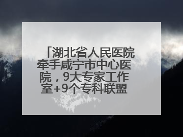 湖北省人民医院牵手咸宁市中心医院，9大专家工作室+9个专科联盟筑牢区域医疗网