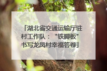 湖北省交通运输厅驻村工作队：“铁脚板”书写龙凤村幸福答卷