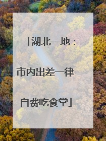 湖北一地：市内出差一律自费吃食堂