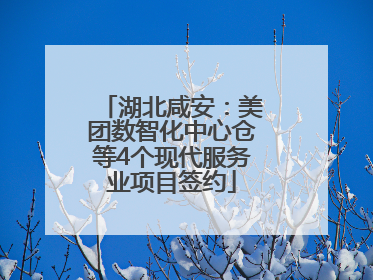 湖北咸安：美团数智化中心仓等4个现代服务业项目签约