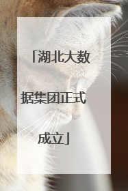 湖北大数据集团正式成立