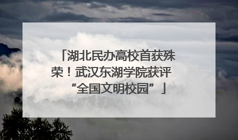 湖北民办高校首获殊荣！武汉东湖学院获评“全国文明校园”