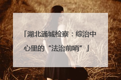 湖北通城检察：综治中心里的“法治前哨”