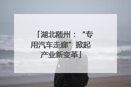 湖北随州：“专用汽车走廊”掀起产业新变革