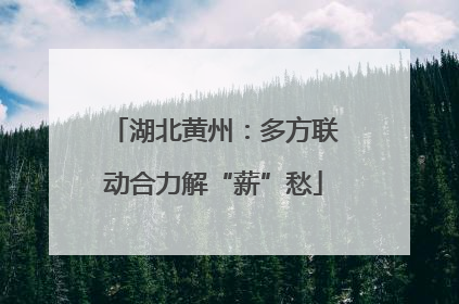湖北黄州：多方联动合力解“薪”愁