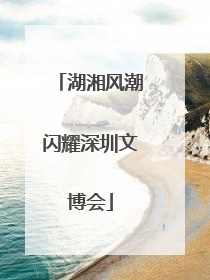 湖湘风潮闪耀深圳文博会
