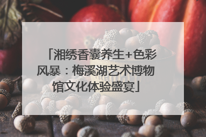 湘绣香囊养生+色彩风暴：梅溪湖艺术博物馆文化体验盛宴