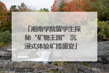 湘南学院留学生探秘“矿物王国” 沉浸式体验矿博盛宴