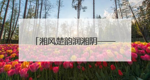 湘风楚韵润湘阴——湘阴县2025年文化和旅游宣传周见闻