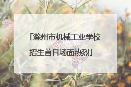 滁州市机械工业学校招生首日场面热烈