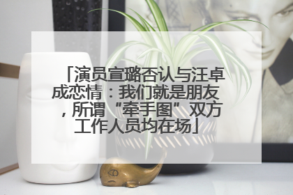 演员宣璐否认与汪卓成恋情：我们就是朋友，所谓“牵手图”双方工作人员均在场