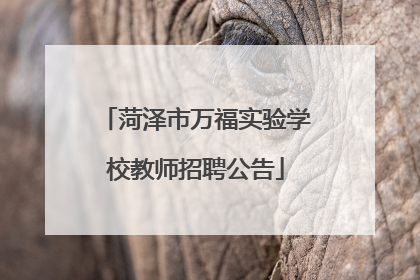 菏泽市万福实验学校教师招聘公告