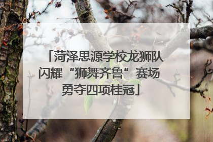 菏泽思源学校龙狮队闪耀“狮舞齐鲁”赛场 勇夺四项桂冠