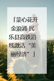 菜心花开金浪涌 民乐县高铁沿线激活“美丽经济”