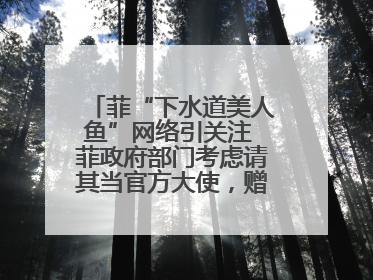 菲“下水道美人鱼”网络引关注 菲政府部门考虑请其当官方大使，赠现金开店