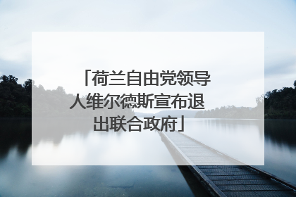 荷兰自由党领导人维尔德斯宣布退出联合政府