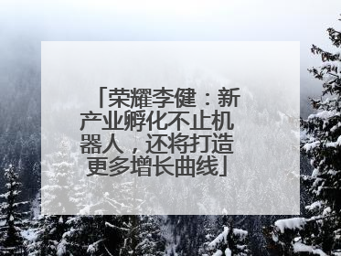 荣耀李健：新产业孵化不止机器人，还将打造更多增长曲线