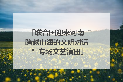 联合国迎来河南“跨越山海的文明对话”专场文艺演出