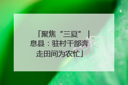 聚焦“三夏”｜息县：驻村干部奔走田间为农忙