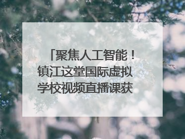 聚焦人工智能！镇江这堂国际虚拟学校视频直播课获韩美伙伴点赞