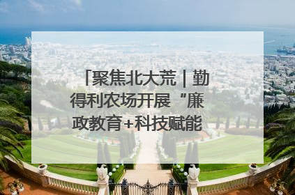 聚焦北大荒｜勤得利农场开展“廉政教育+科技赋能”主题党日活动