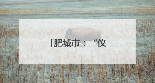 肥城市：“仪家亲”点亮基层治理万家灯火