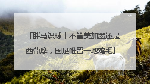 胖马识球丨不管美加墨还是西葡摩，国足唯留一地鸡毛