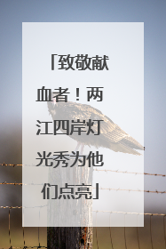 致敬献血者！两江四岸灯光秀为他们点亮