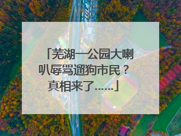 芜湖一公园大喇叭辱骂遛狗市民？真相来了……