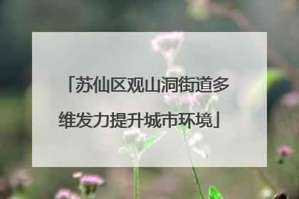 苏仙区观山洞街道多维发力提升城市环境