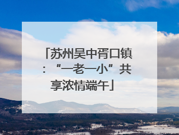 苏州吴中胥口镇：“一老一小”共享浓情端午