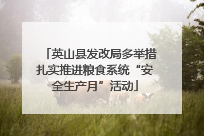 英山县发改局多举措扎实推进粮食系统“安全生产月”活动