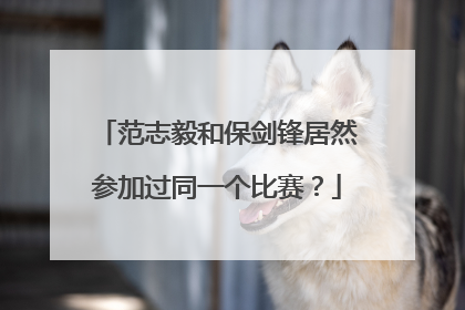 范志毅和保剑锋居然参加过同一个比赛？